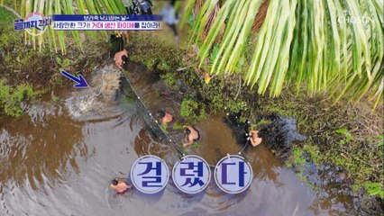 입이 떡⊙０⊙ 사람만한 거대 생선 ‘파이체’!