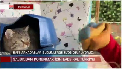 Ben de evdeyim! Bakın kedi arkadaşım da evde Siz de #EvdeKal'ın"