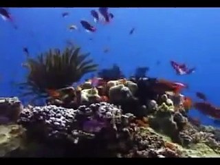 Yahova Raja Karda || Christian Songs in Urdu and Hindi