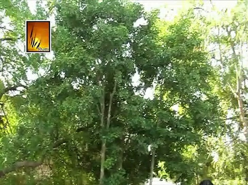 Koi Kitne Janam Le || Christina Songs In Urdu and Hnidi