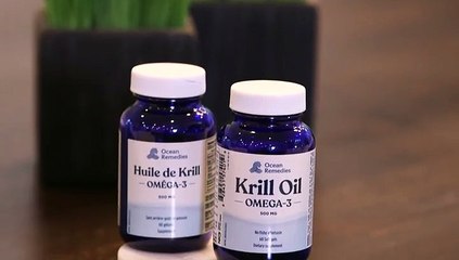 All About Krill Oil
