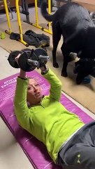 Impossible de faire son sport avec son chien !