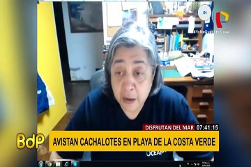 Impacto de la cuarentena en el medio ambiente: avistan cachalotes en playas de San Miguel