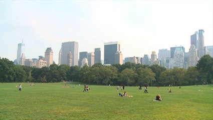 Could summer slow the spread of COVID-19?