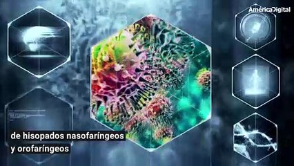 ¿Cómo funciona el test para detectar coronavirus?