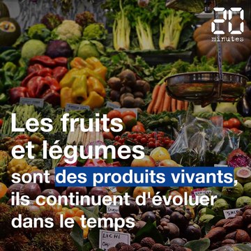 Confinement: Comment bien conserver ses aliments ?