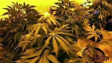 Uyuşturucu operasyonunda yakalanan şüpheli tutuklandı - ANTALYA