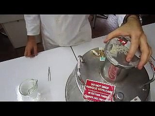 Paillettes de spermatozoïdes de taureau