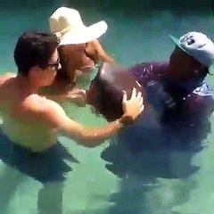 Ce requin fait une petite blague à un touriste