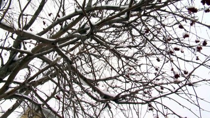 COVID-19 : Un foyer de soin obligé de sortir ses résidents pour des injections