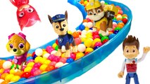 Colorful Paw Patrol Gumball Pool and Slide with Fizzy Fun Toys