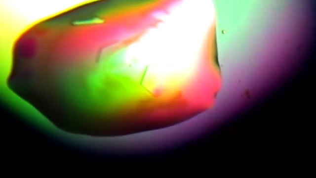 Los Virus más peligrosos del planeta - CORONAVIRUS - COVID-19 - VIRUS - PANDEMIAS - documental, documental historia,documentales,documentales en español, documentales gratis,DOCUMENTALES HD,DOCUMENTALES ONLINE,GRANDES DOCUMENTALES