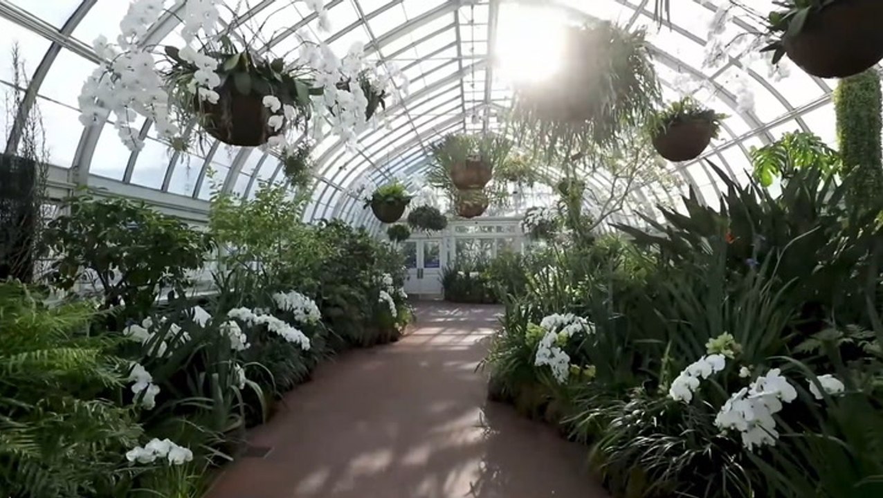 Enjoying spring nature virtually