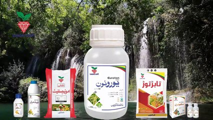 STAY BLESSED STAY SAFE