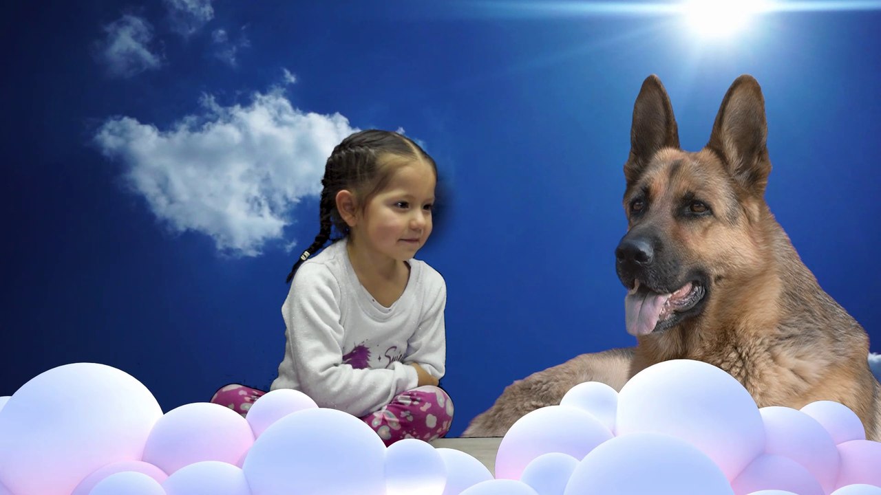 Aprende el Sonido de los Animales - Gato - Perro - Serpiente