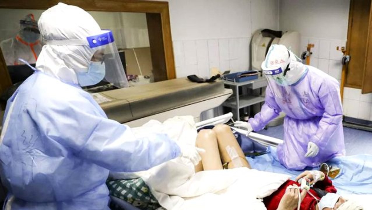 Uzman isim tek tek yanıtladı: Nedir bu hantavirüs, belirtileri neler, tedavisi var mı?