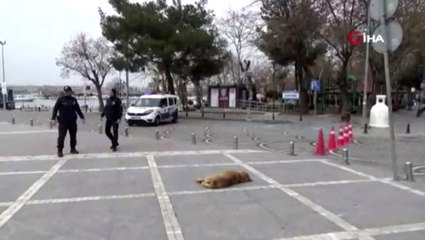 Silivri'de polis sahile girişi dubalarla kapattı