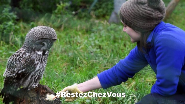 Actus : Continuité du service public, le zoo de Fort-Mardyck - 28 Mars 2020