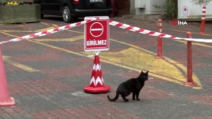 Piknik yasağının ardından Belgrad Ormanı girişlere kapatıldı