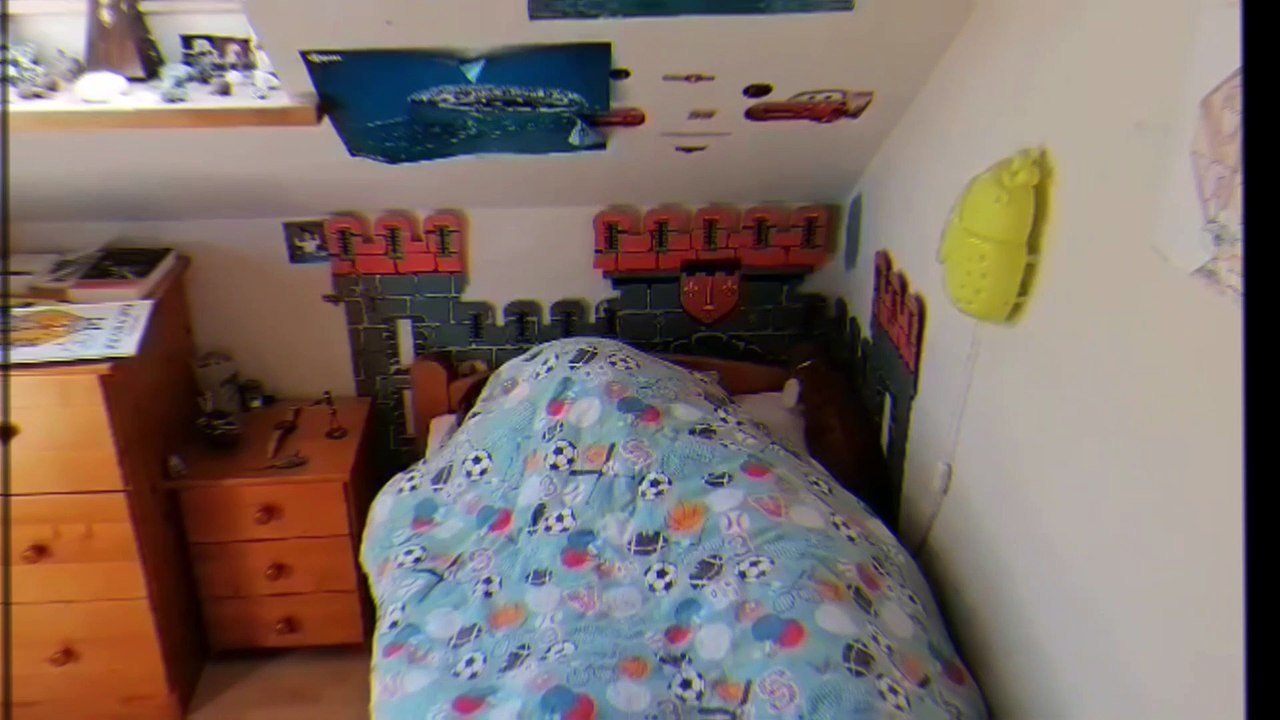Ode à la joie
