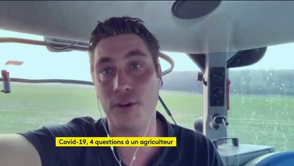 "Des bras pour ton assiette" : la plateforme pour aider les agriculteurs