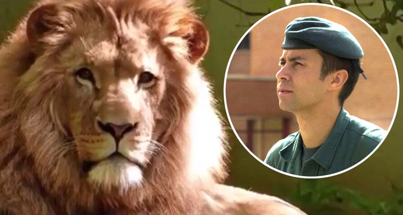 Homenaje a un león: la Guardia Civil despide al teniente coronel Gayoso, caído en acto de servicio