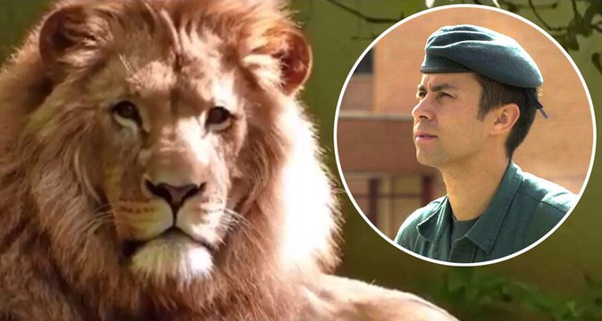 Homenaje a un león: la Guardia Civil despide al teniente coronel Gayoso, caído en acto de servicio