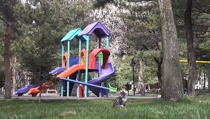 Yeni Kovid-19 tedbirleri uygulanmaya başlandı - KAYSERİ