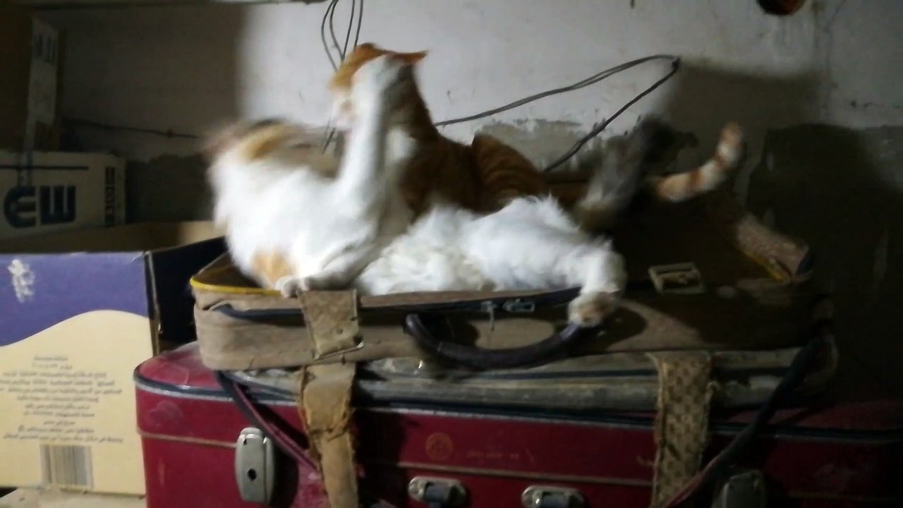 Play With Me Mommy