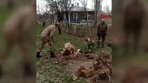 VAN Askerler yaşlılar için odun kırıp, ihtiyaçlarını giderdi