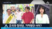 [여랑야랑]“기대 못 미쳤다” 반성 / 비례 의석 비상 걸린 정의당