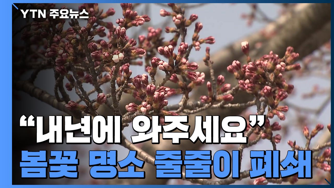 "내년에 와주세요" 봄꽃 명소 줄줄이 폐쇄 / YTN