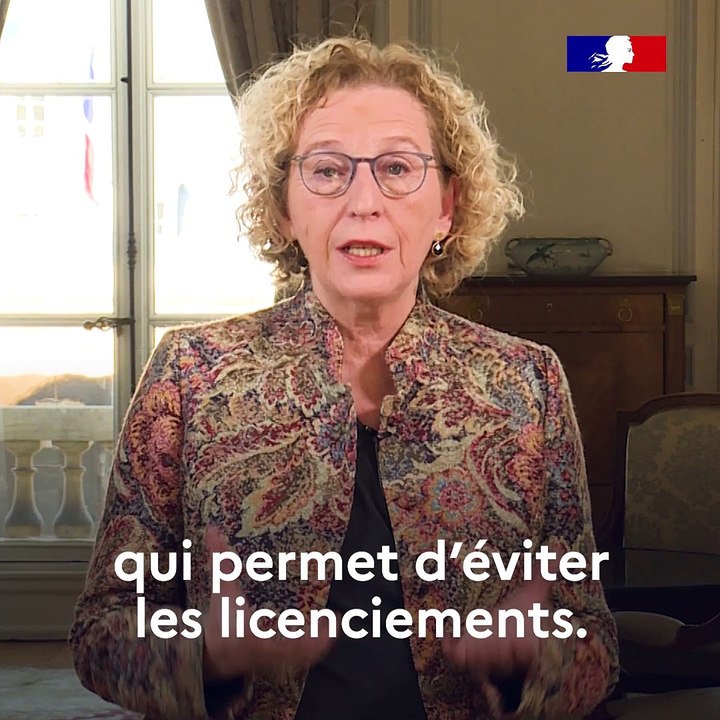 Muriel Pénicaud, répond à vos questions sur le...