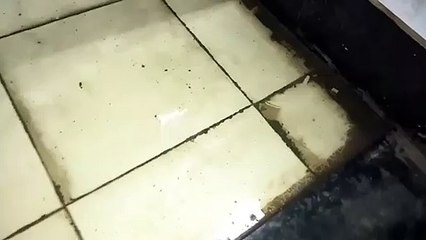 बदतर हो रहा है कोरोना से बचने के लिए बनाया गया आइसोलेशन वार्ड