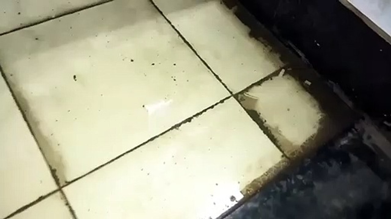 बदतर हो रहा है कोरोना से बचने के लिए बनाया गया आइसोलेशन वार्ड