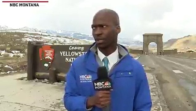 Ce journaliste voit un troupeau de bisons s’approcher de lui, sa réaction est hilarante