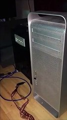 Ce chat déteste les lecteurs CD