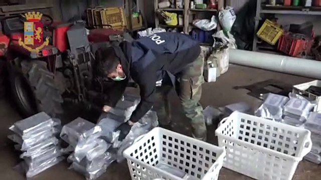 'Ndrangheta, mezza tonnellata di droga interrata: arrestato figlio del boss Molè (28.03.20)