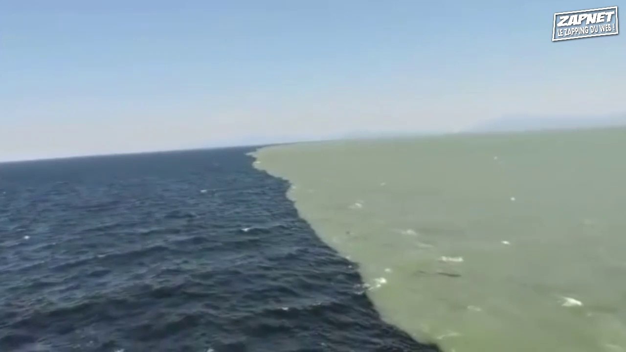 ZAPNET - LE ZAPPING DU WEB (N°5)