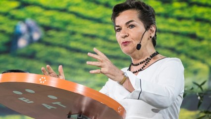 In The Midst Of A Global Pandemic, Remember To Heal The Planet