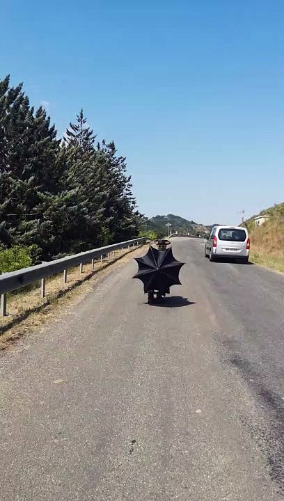 Un Pirate Morlaisien, Ça Peut NaViGuer Dans les...