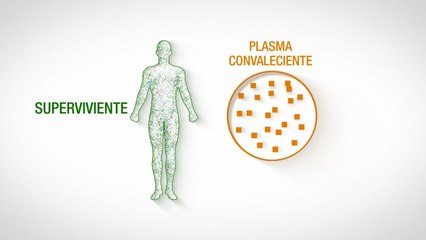 Grifols explica la importancia del plasma para combatir el Covid-19