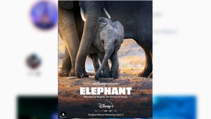 Ya hay fecha para el debut de Meghan Markle con Disney