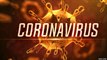 Coronavirus (COVID-19) Boosting Diet For your immune system To defeat Coronavirus | world map and live counter on confirmed cases | coronavirus world map and live counter on confirmed cases |  coronavirus live map coronavirus map