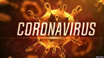 Coronavirus (COVID-19) Boosting Diet For your immune system To defeat Coronavirus | world map and live counter on confirmed cases | coronavirus world map and live counter on confirmed cases |  coronavirus live map coronavirus map