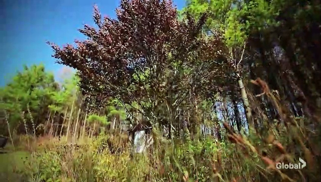 Crime Beat E04 Leader of the Pack