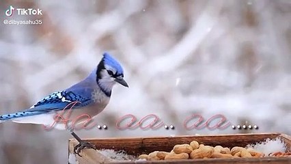 Mohabat ka gum hai mile jitna kam hai