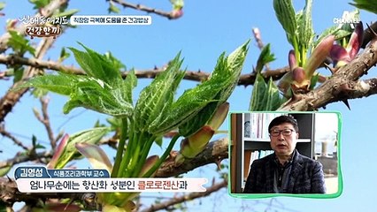 ♡남편사랑~가득♡ 엄나무순을 이용한 건강밥상 한 끼!