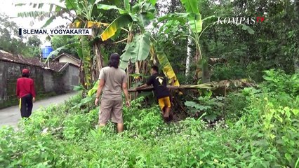 Antisipasi Corona, Warga Batasi Akses Masuk Kampung
