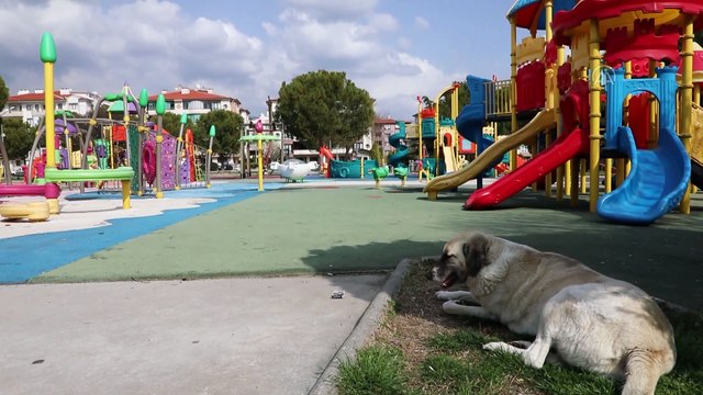 Turizm merkezlerinde 'Evde kal' çağrısına uyuldu - Menteşe - MUĞLA